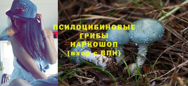 прущая мука Белокуриха