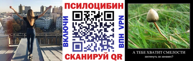 Псилоцибиновые грибы мухоморы  Нефтекумск 